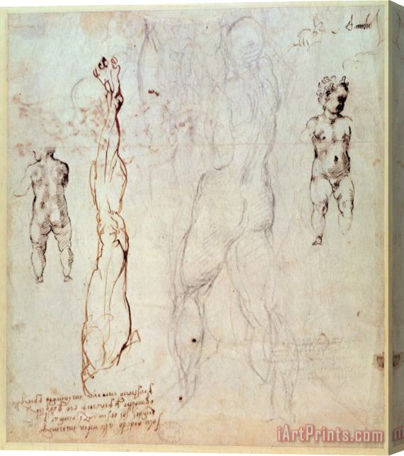 Michelangelo Buonarroti Anatomical Drawings with Accompanying Notes Stretched Canvas Painting / Canvas Art