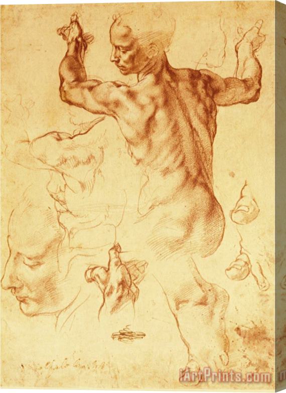 Michelangelo Buonarroti Anatomy Sketches Libyan Sibyl Stretched Canvas Painting / Canvas Art