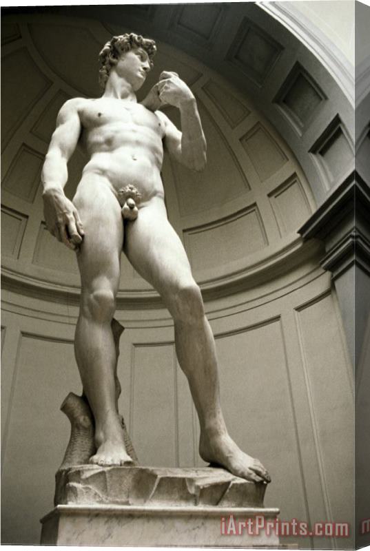 Michelangelo Buonarroti David Bottom View Stretched Canvas Print / Canvas Art