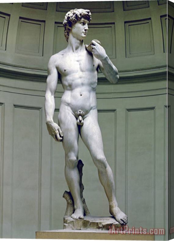 Michelangelo Buonarroti David Frontal View Stretched Canvas Print / Canvas Art