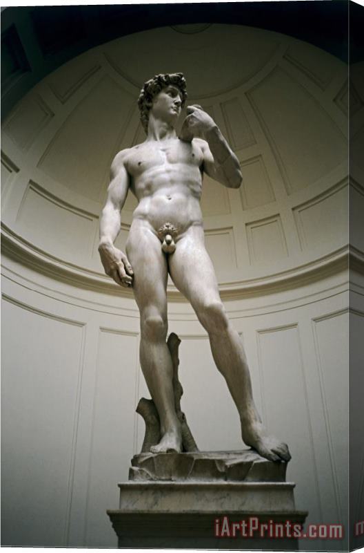 Michelangelo Buonarroti David Stretched Canvas Print / Canvas Art