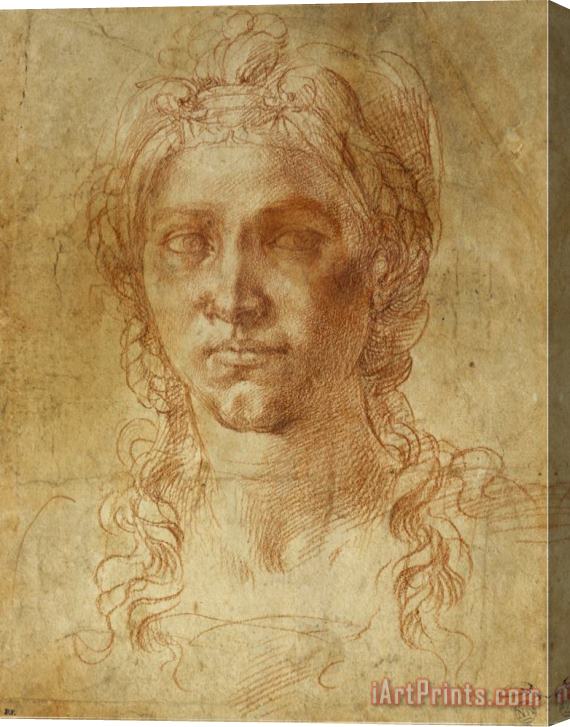 Michelangelo Buonarroti Female Idealized Head 1520 1530 Stretched Canvas Painting / Canvas Art