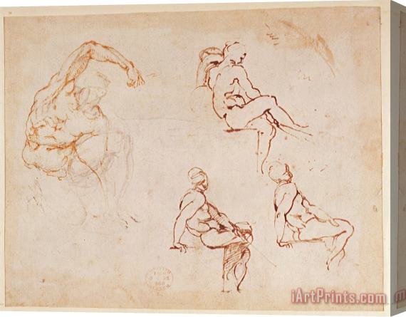Michelangelo Buonarroti Figure Studies for a Man Brown Ink Stretched Canvas Print / Canvas Art