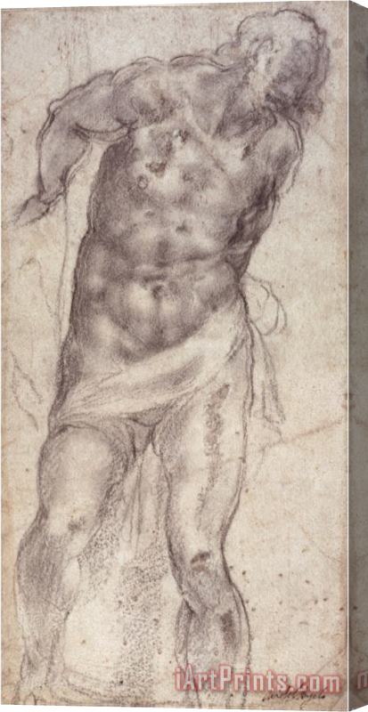 Michelangelo Buonarroti Figure Study Stretched Canvas Print / Canvas Art