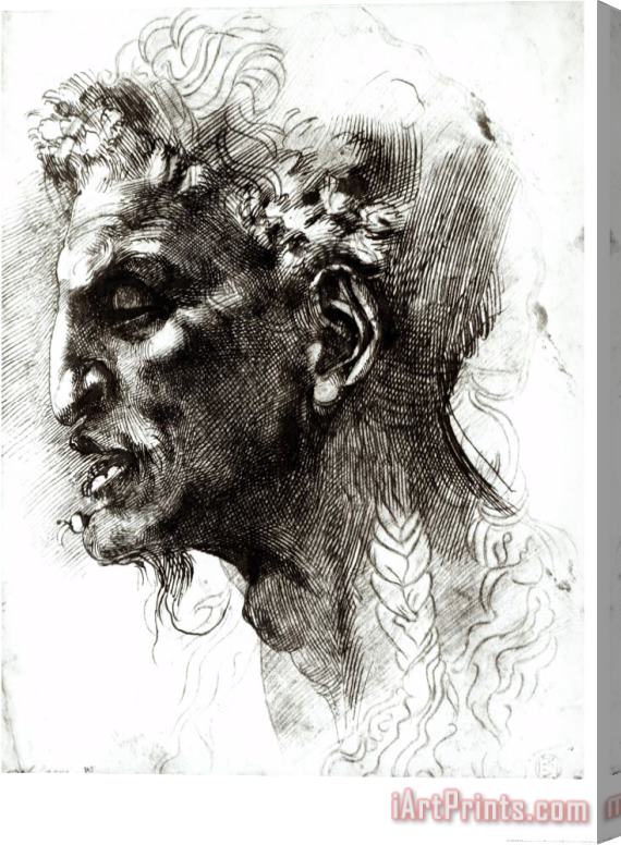 Michelangelo Buonarroti Head of a Satyr Stretched Canvas Print / Canvas Art