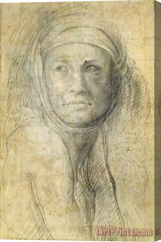 Michelangelo Buonarroti Head of a Woman Stretched Canvas Print / Canvas Art