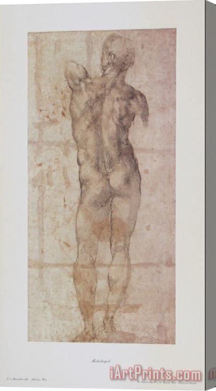 Michelangelo Buonarroti Male Nude Stretched Canvas Painting / Canvas Art
