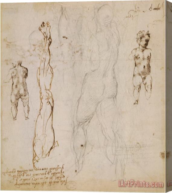 Michelangelo Buonarroti Michelangelo Eight Studies of Nude Children Stretched Canvas Painting / Canvas Art