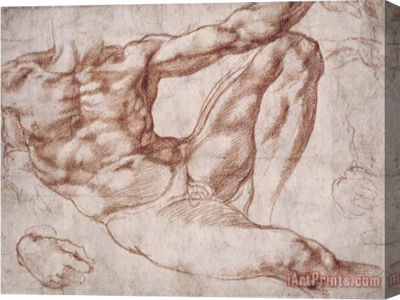 Michelangelo Buonarroti Michelangelo Study for Adam Stretched Canvas Print / Canvas Art