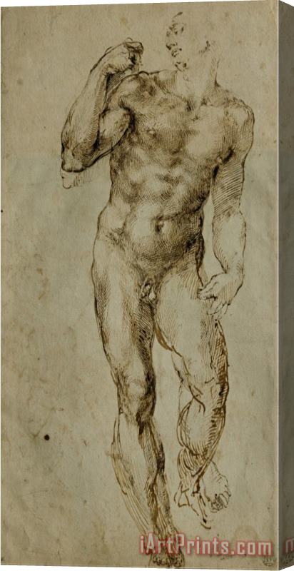 Michelangelo Buonarroti Nude Male Figure Seen Frontally Circa 1502 1506 Stretched Canvas Painting / Canvas Art