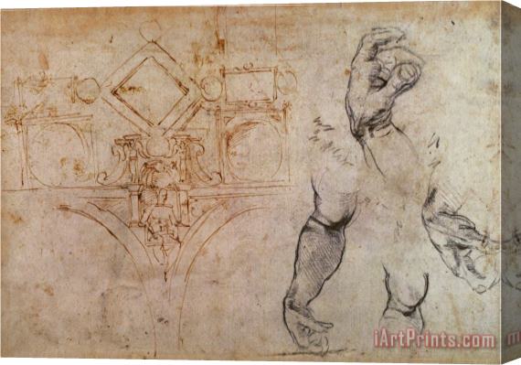 Michelangelo Buonarroti Scheme for The Sistine Chapel Ceiling C 1508 Stretched Canvas Print / Canvas Art