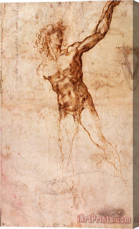 Michelangelo Buonarroti Sketch of a Nude Man Stretched Canvas Painting / Canvas Art