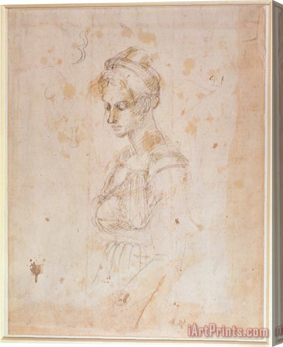 Michelangelo Buonarroti Sketch of a Woman Stretched Canvas Painting / Canvas Art