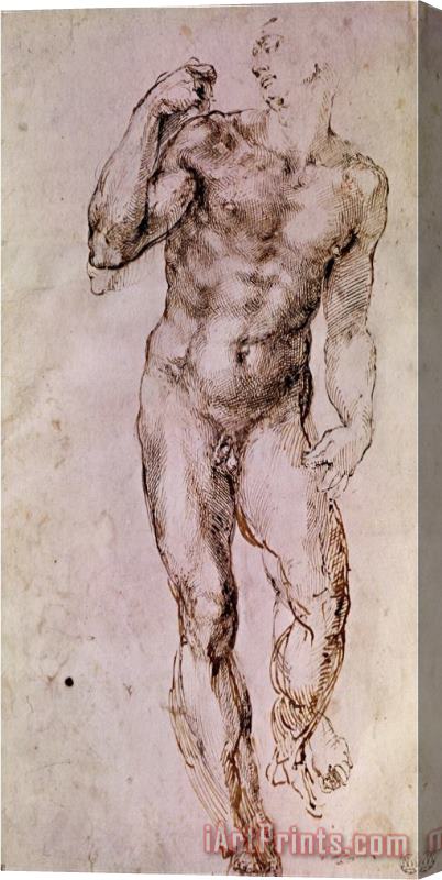 Michelangelo Buonarroti Sketch of David with His Sling 1503 4 Stretched Canvas Print / Canvas Art