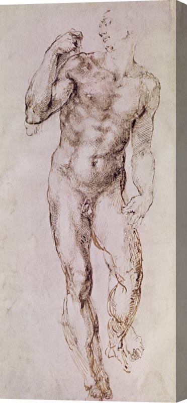 Michelangelo Buonarroti Sketch Of David With His Sling Stretched Canvas Print / Canvas Art