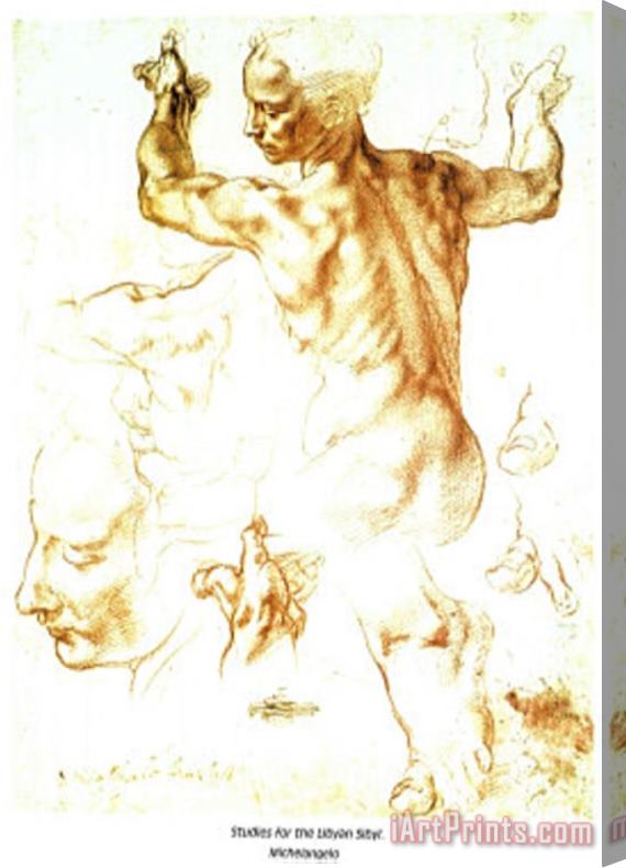 Michelangelo Buonarroti Studies for The Libyan Sibyl Stretched Canvas Print / Canvas Art