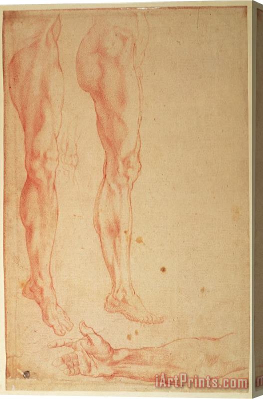 Michelangelo Buonarroti Studies of Legs And Arms Red Chalk on Paper Stretched Canvas Print / Canvas Art