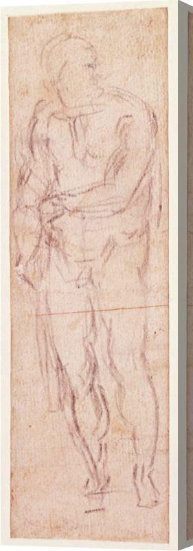 Michelangelo Buonarroti Study for Adam in The Expulsion 1508 12 Stretched Canvas Print / Canvas Art