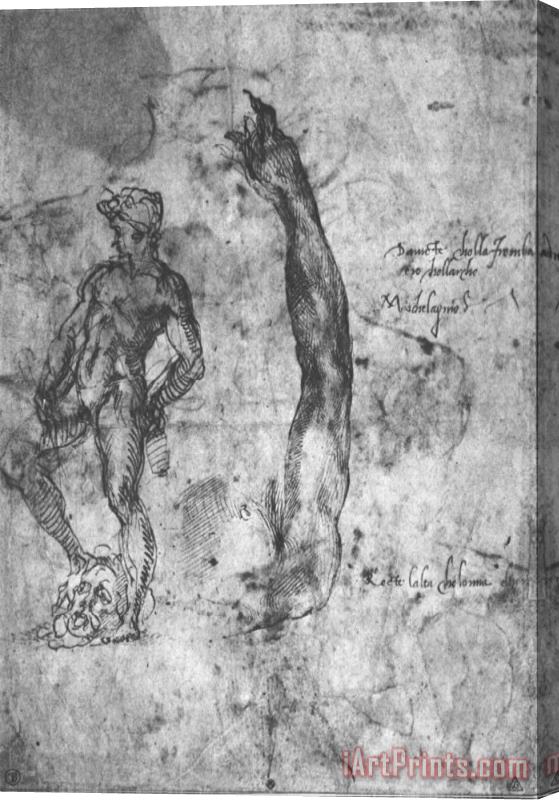Michelangelo Buonarroti Study for an Arm of The Marble David And The Figure of The Bronze David Stretched Canvas Print / Canvas Art