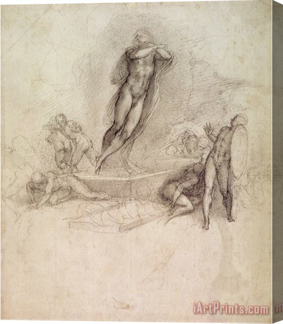 Michelangelo Buonarroti Study for an Ascension Stretched Canvas Print / Canvas Art