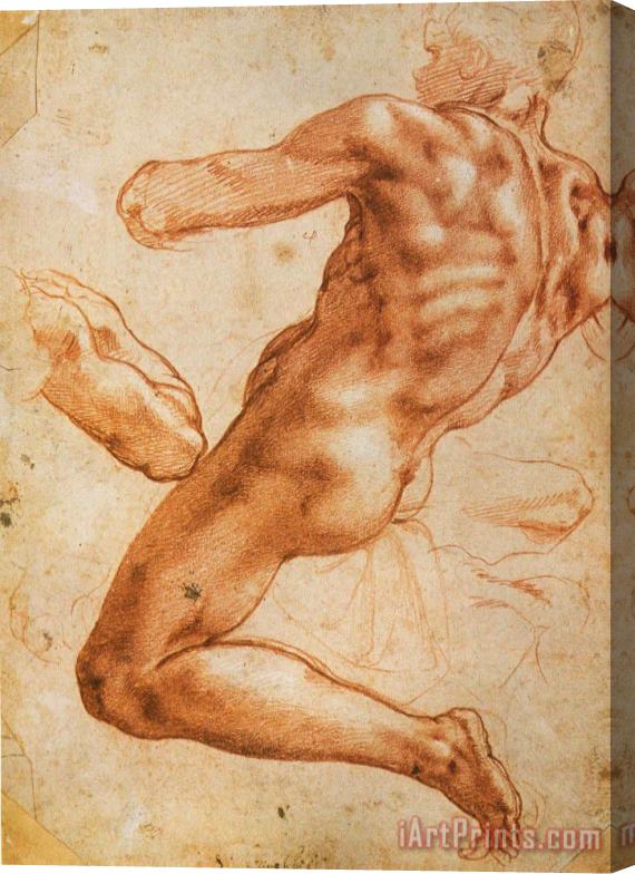 Michelangelo Buonarroti Study for an Ignudo Stretched Canvas Painting / Canvas Art