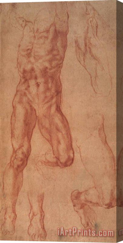 Michelangelo Buonarroti Study for Haman Stretched Canvas Print / Canvas Art