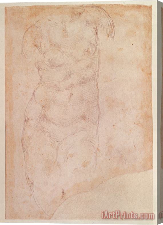 Michelangelo Buonarroti Study of a Female Nude Black Chalk on Paper Stretched Canvas Print / Canvas Art