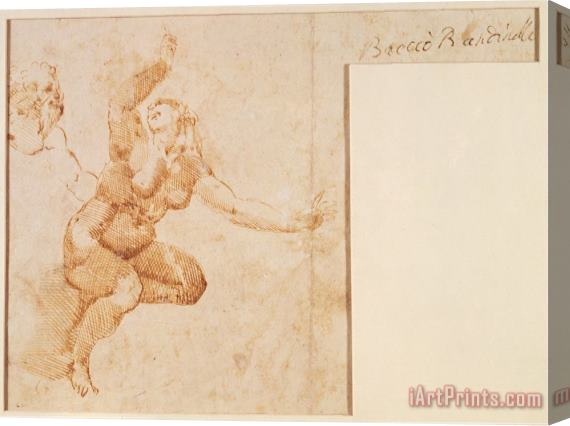 Michelangelo Buonarroti Study of a Female Nude Stretched Canvas Print / Canvas Art