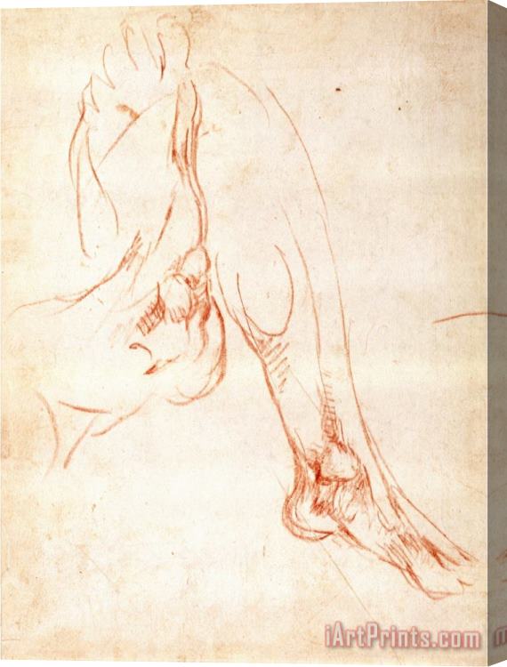 Michelangelo Buonarroti Study of a Lower Leg And Foot Stretched Canvas Print / Canvas Art