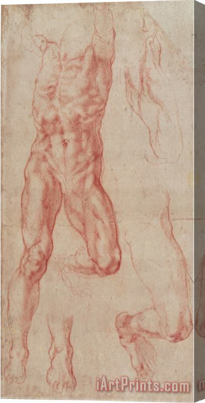 Michelangelo Buonarroti Study of a Male Nude Stretching Upwards Stretched Canvas Print / Canvas Art