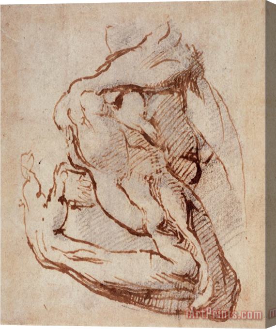 Michelangelo Buonarroti Study of an Arm Ink Stretched Canvas Painting / Canvas Art