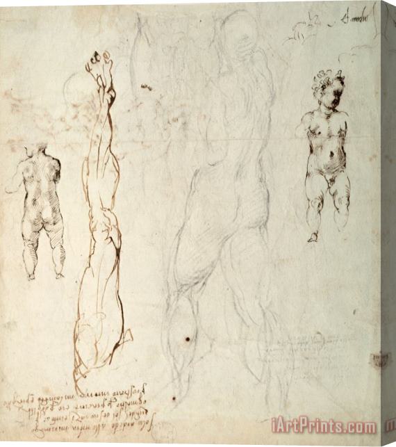 Michelangelo Buonarroti Study of The Christ Child And an Anatomical Drawing with Notes Stretched Canvas Print / Canvas Art