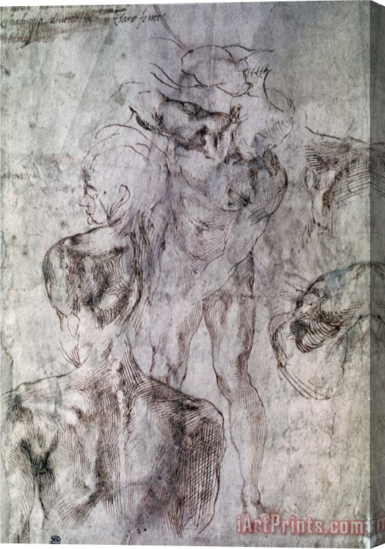 Michelangelo Buonarroti Various Studies Verso of Study for David Stretched Canvas Print / Canvas Art