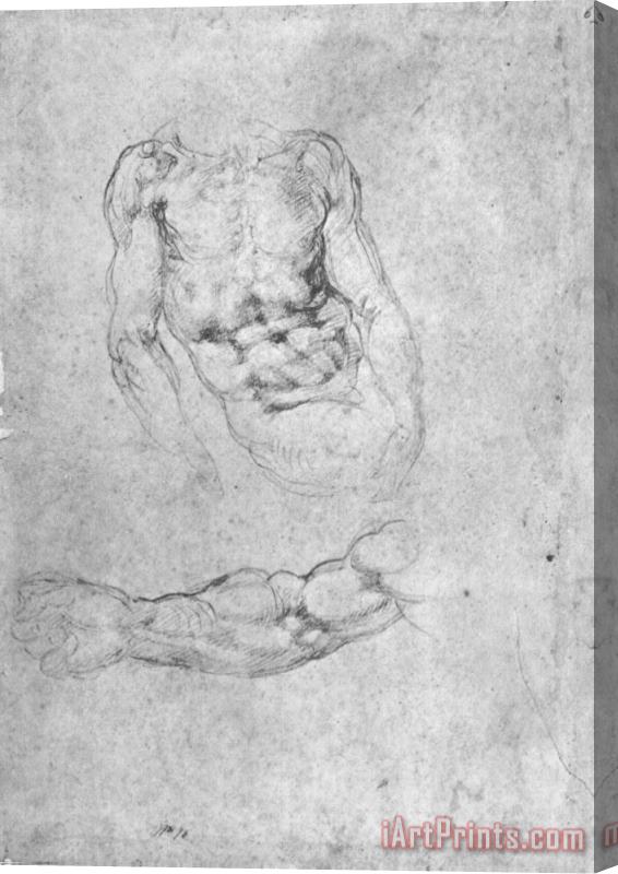 Michelangelo Studies for Pieta Or The Last Judgement Stretched Canvas Print / Canvas Art