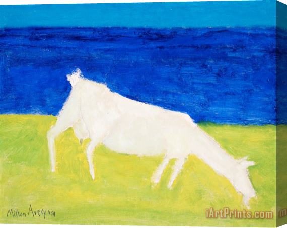 Milton Avery Goat, 1959 Stretched Canvas Painting / Canvas Art