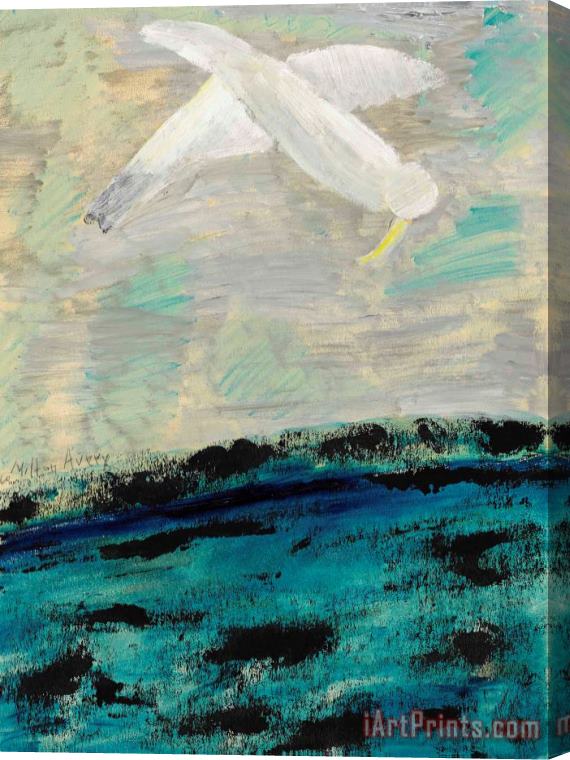 Milton Avery Plunging Bird Stretched Canvas Print / Canvas Art