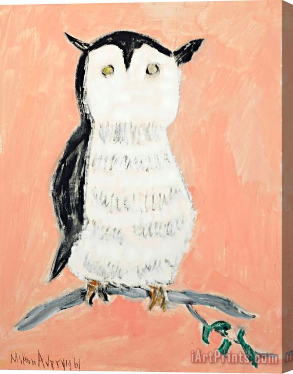 Milton Avery Yellow Eyed Owl, 1961 Stretched Canvas Painting / Canvas Art