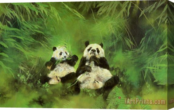 Odile Kidd Pandas Stretched Canvas Print / Canvas Art