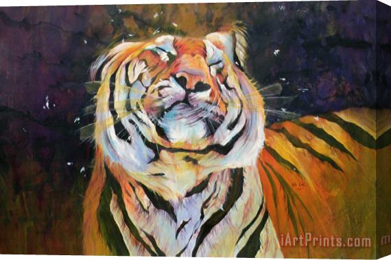 Odile Kidd Tiger - Shaking Head Stretched Canvas Painting / Canvas Art