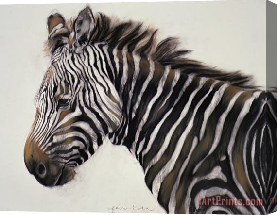 Odile Kidd Zebra Stretched Canvas Print / Canvas Art