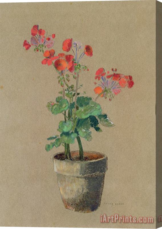 Odilon Redon Geraniums In A Pot Stretched Canvas Painting / Canvas Art