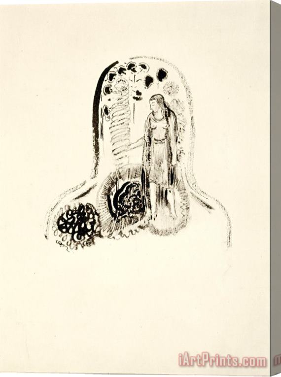 Odilon Redon Jeune Fille Dans Un Jardin De Fleurs Stretched Canvas Print / Canvas Art