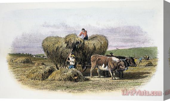 Others 19th CENTURY AMERICAN FARM Stretched Canvas Print / Canvas Art