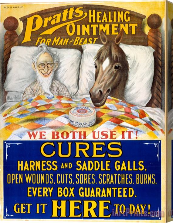 Others American Patent Medicine Stretched Canvas Print / Canvas Art