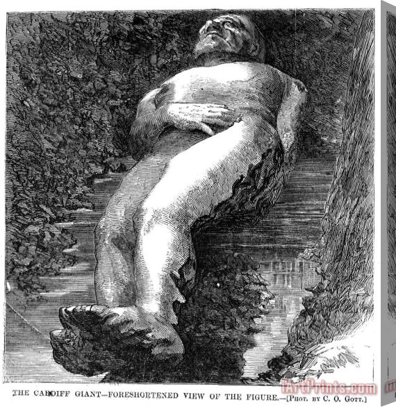 Others Cardiff Giant, 1869 Stretched Canvas Print / Canvas Art