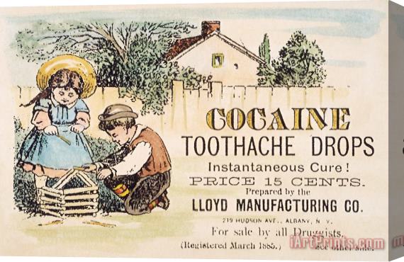 Others Cocaine Medicine Ad, 1885 Stretched Canvas Print / Canvas Art