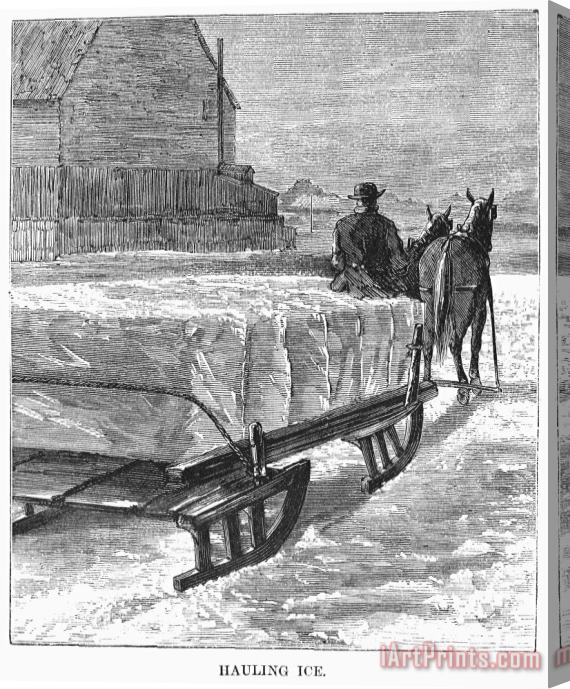Others CUTTING ICE, c1870 Stretched Canvas Print / Canvas Art