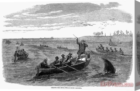 Others Devil Fishing, 1858 Stretched Canvas Print / Canvas Art