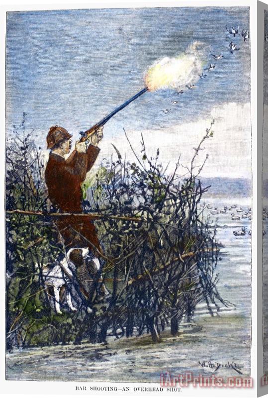 Others Duck Hunting, 1888 Stretched Canvas Painting / Canvas Art