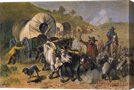 Others EMIGRANTS TO WEST, 19th C Stretched Canvas Print / Canvas Art